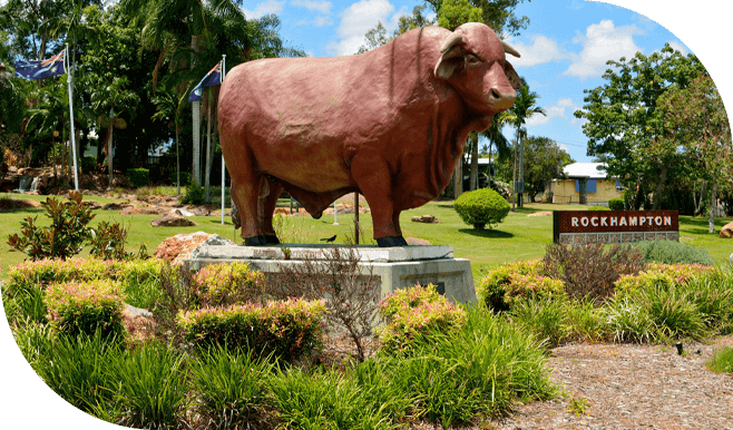 house-cleaning-rockhampton-local-personality-section City of Rockhampton
