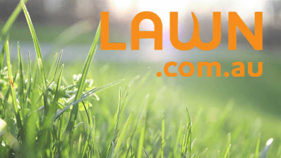 Introducing lawn.com.au garden maintenance