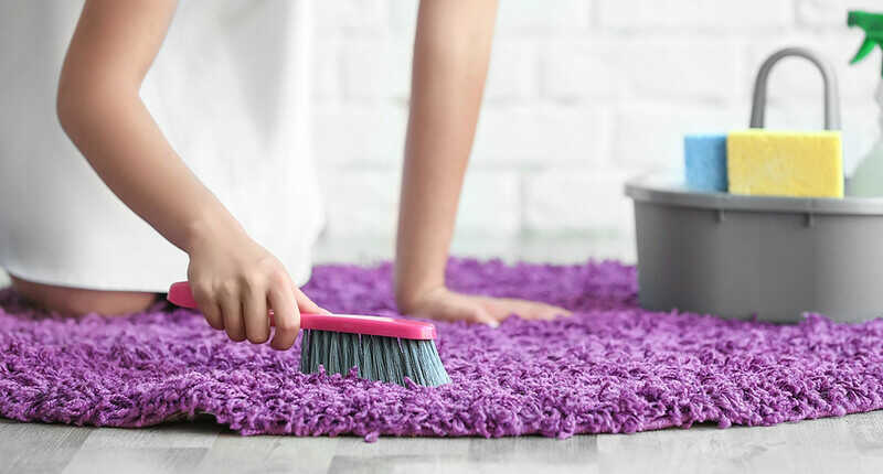 professional cleaner using brush for a purple shag rug