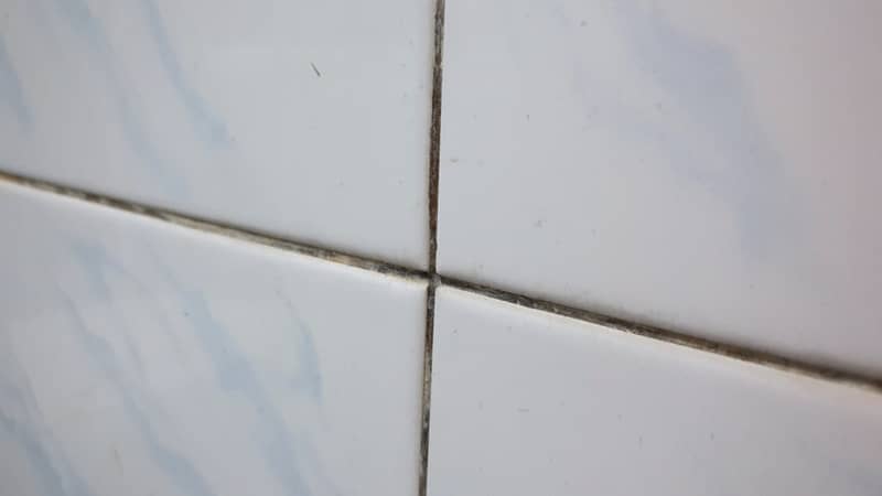 Black and green mold growing on shower grouted joints tile and appear on the ceramic wall in bathroom corner