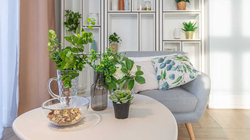 blue soft armchair and a beautiful white stylish table with plants in pots and vases on the background of a rack with different jars in an expensive modern apartment