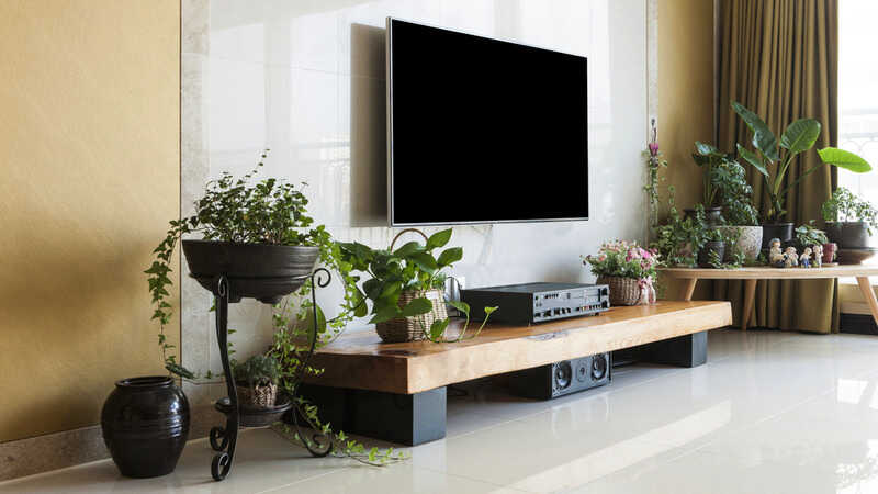 Living room with smart television and plants