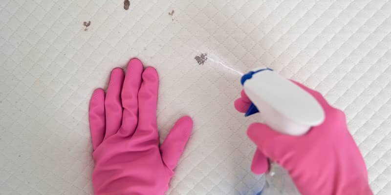 Mattress topper stain cleaning