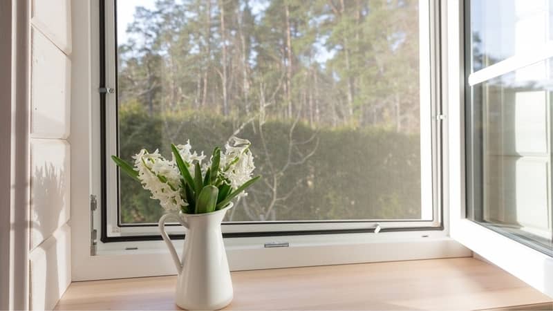 White window with fly screen in a rustic wooden house overlooking the blossom garden.