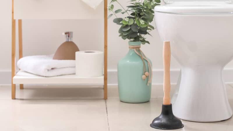 https://www.maid2match.com.au/wp-content/uploads/2023/02/how-to-clean-a-toilet-plunger.jpg