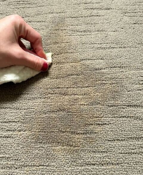 How To Get Coffee Stains Out Of Carpet | Maid2Match