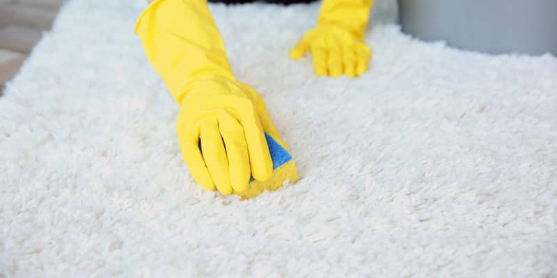 woman hands with gloves using sponge to clean carpet