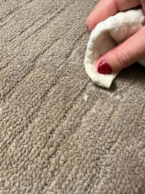How To Get Coffee Stains Out Of Carpet | Maid2Match
