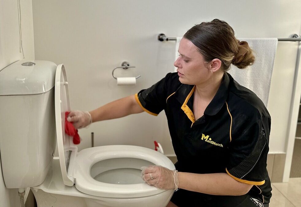How To Clean A Toilet