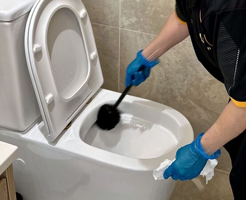 Professional house cleaner cleaning toilet with toilet brush