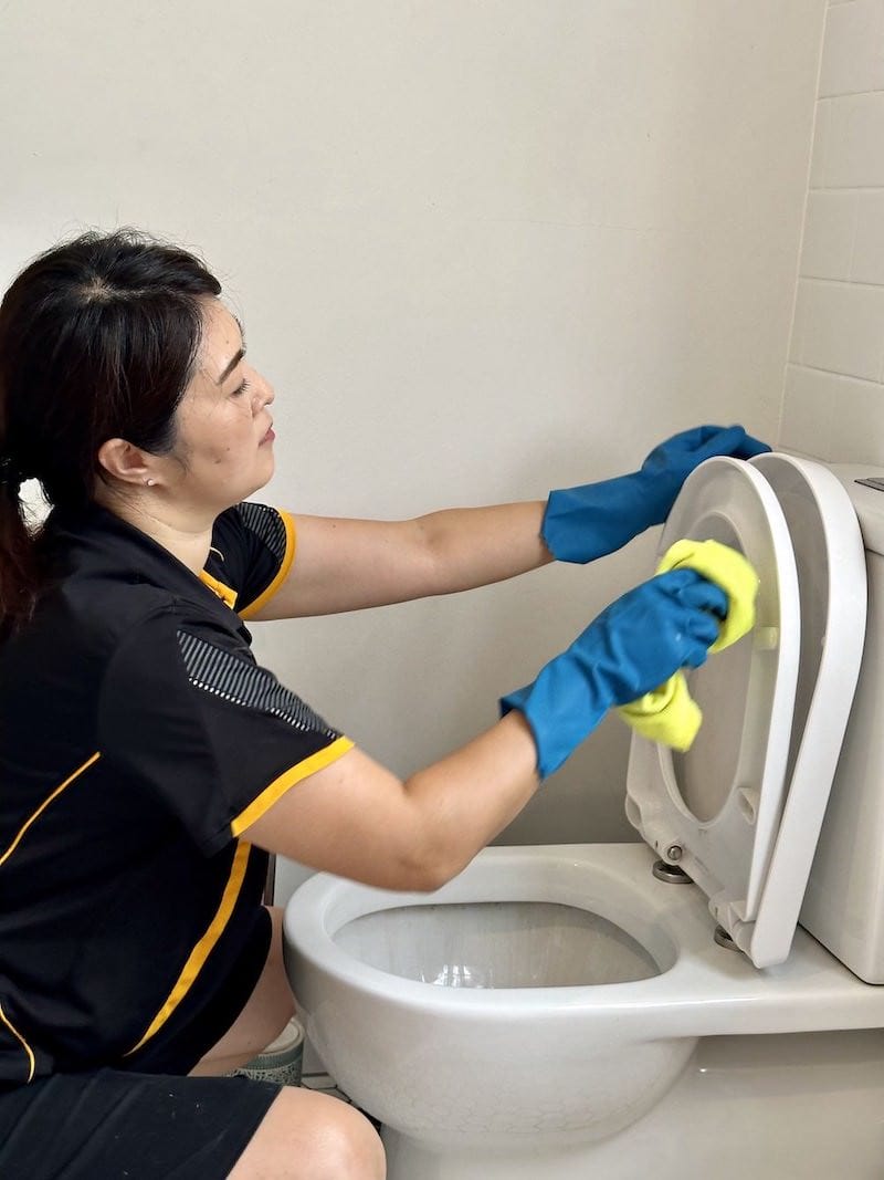 a professional house cleaner cleaning underneath the toilet seat