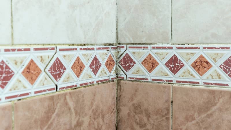 Black mold fungus growing in damp poorly ventilated bath areas