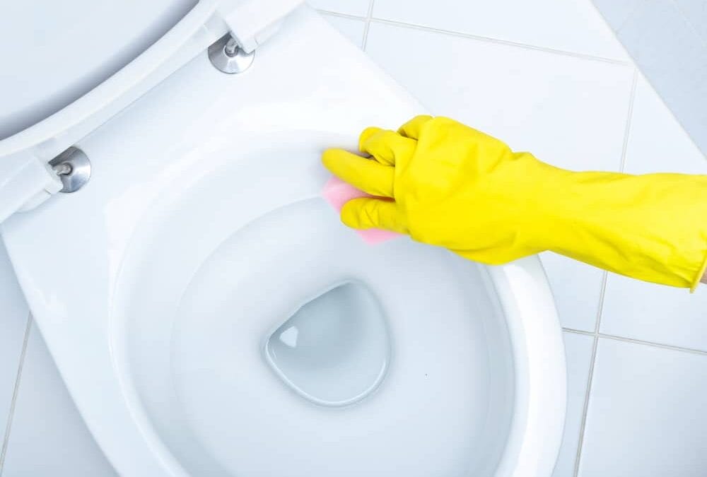 How To Get Rid Of A Toilet Ring