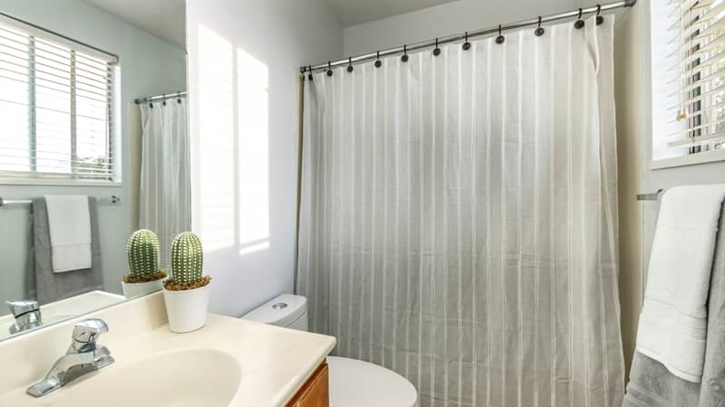 Small bathroom with vanity sink decorated with potted cactus