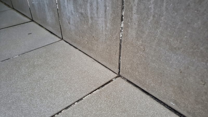 Black and green mold growing on shower grout