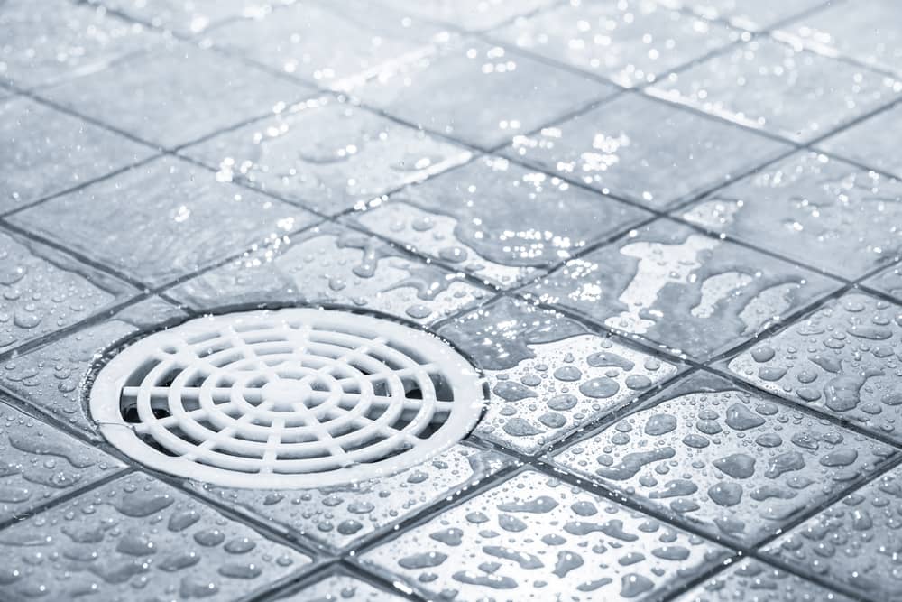 How To Clean Shower Drains