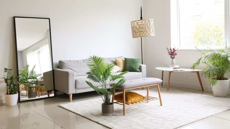 Interior of light living room with comfortable sofa, houseplants and mirror near light wall