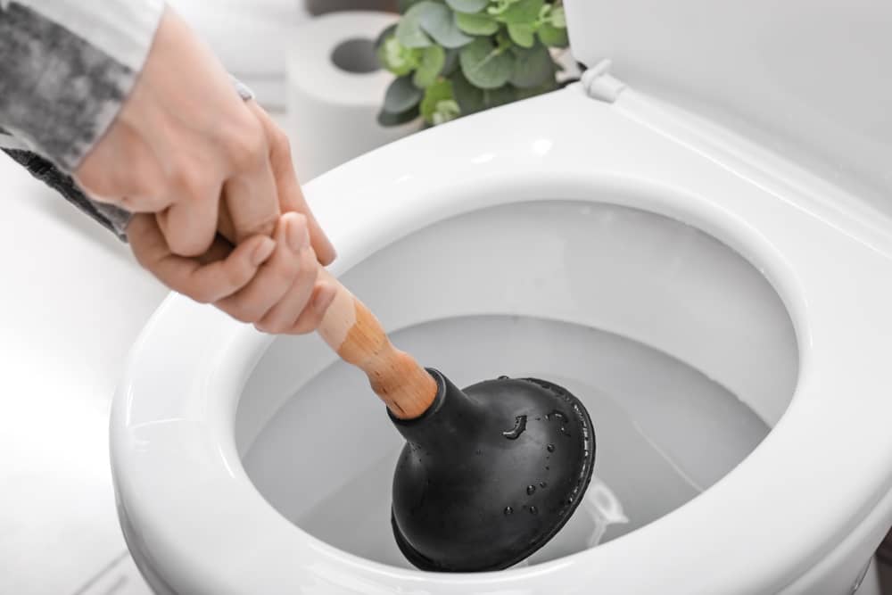 The Best Toilet Plungers In Australia 2024