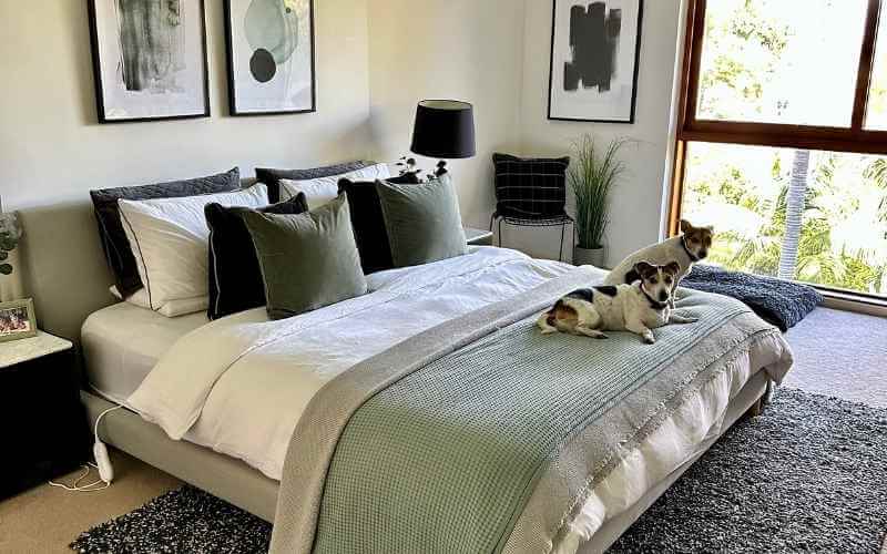 Clean bedroom interior ready for inspection