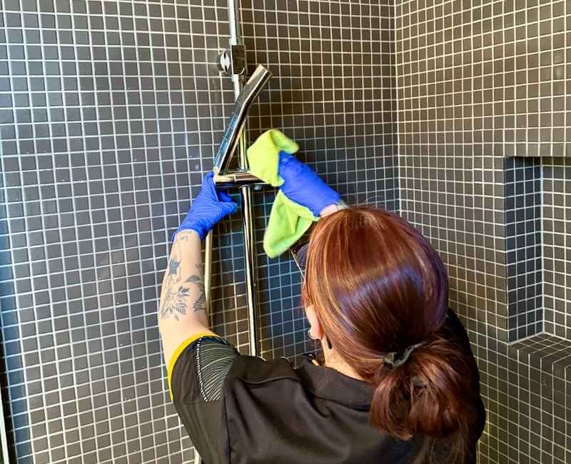 Geelong Professional cleaner Paris cleaning shower head faucet