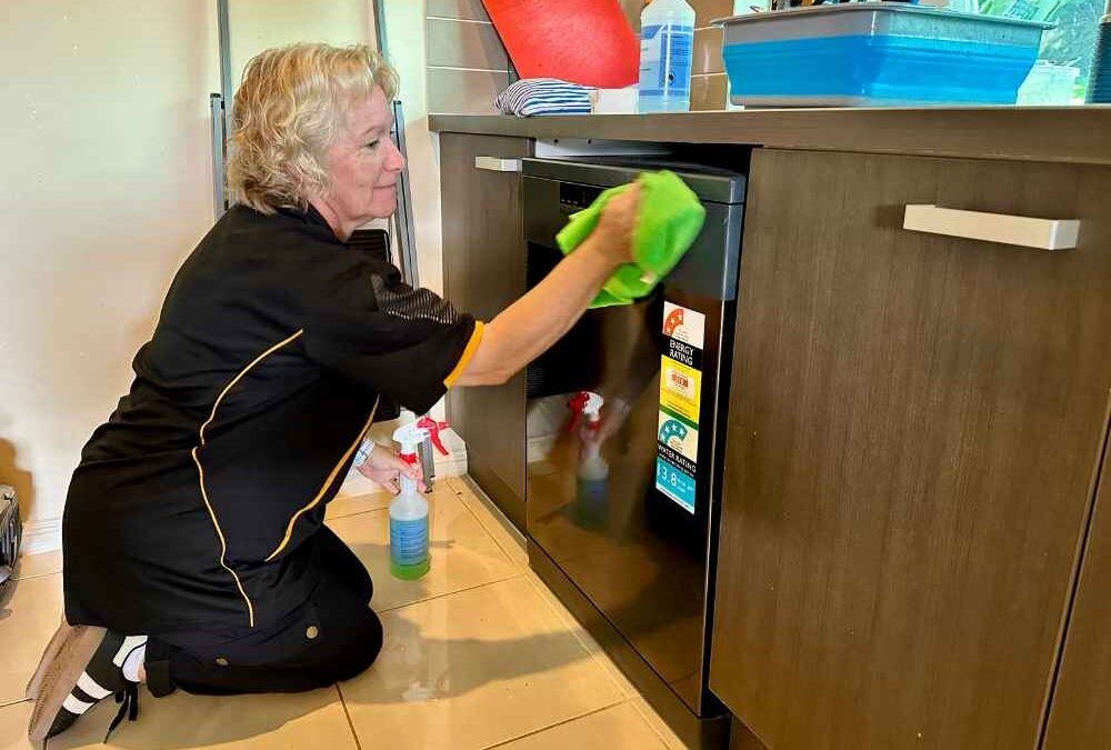 How To Write A Resume For A Cleaning Job