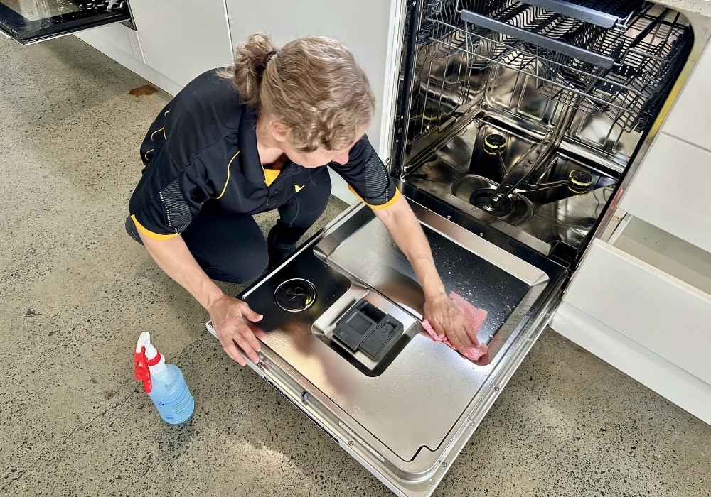 experienced-cleaner-cleaning-dishwasher-stainless-steel-surface Nicole cleaning the stainless steel surface of the inside of the dishwasher