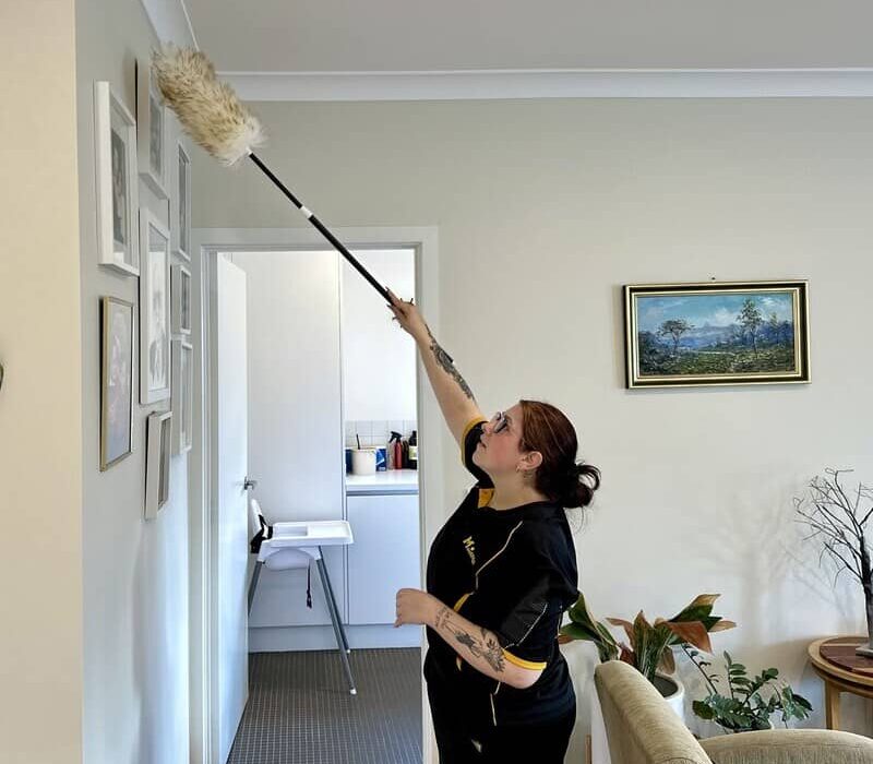 Paris dusting in the living room