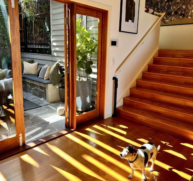 Room being aired out with open large door with a dog looking out after Maid2Match fresh spring cleaning service